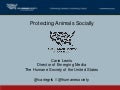 10/28/09 BDI Nonprofit Social Communications Conference - The Human Society Presentation