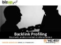 Backlink profiling: strumenti, analisi, metodi di ottimizzazione