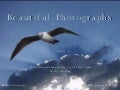 Beautiful Photographies
