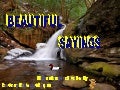 Beautiful Sayings