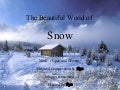 Beautiful World of Snow