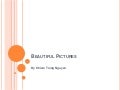 Beautiful pictures