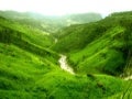 Beautiful Scenery  From Sri Lanka