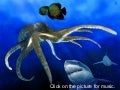Beauty Under The Sea