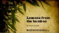 Be Like Bamboo (TEDxTokyo 2011 slides)