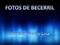 Becerril informatica