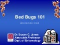 Bedbug101slideshow