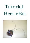 Robô BeetleBot