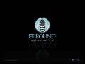 BeeRound Design Studio | Graphic Design | Portfolio