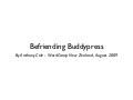 Befriending Buddypress