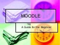 Beginner Moodle Presentation