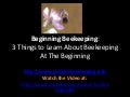 Beginning Beekeeping - 3 Things to Learn about Beekeeping at the Beginning