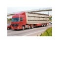 Turkont Shipping & Logistics Manager