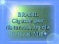 Belezas do Brasil.Pps