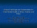 Belfer gottlieb maternal and child mental health