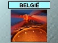 BELGISCHE MOLENBAARDEN