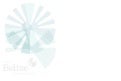 Belize Investors Manual 2009