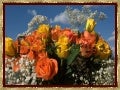 Belles fleurs  ( ildy)
