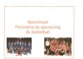Benchmark panorama du basket français