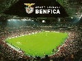 Power Point do Benfica