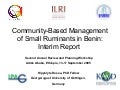 Community-based management of small ruminants in Benin: Interim report 