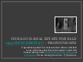 Chicago SFH for Sale - Lincoln Square High End Home