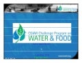 Nile Basin Focal Project