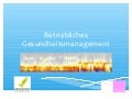 Bgf lebensfeuer-projekt mind-moves-update2011