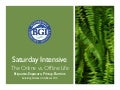 The Online vs. Offline Life: Etiquette, Exposure, Privacy, Barriers (Bgimgt566sx 2010 October Intensive Saturday)