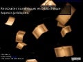Ressources numériques en bibliothèque : aspects juridiques et modes d&rsquo;acquisition