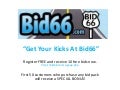 Bid66.com