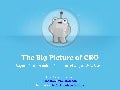 Big Picture CRO