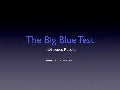 Big Blue Test 2009 results: Tu Diabetes