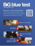 Big Blue Test 2011 (flyer)