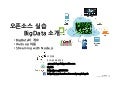 BigData, Hadoop과 Node.js