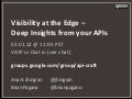  Visbility at the Edge - Deep Insights from Your API