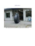 Big wheel bicycle