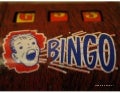The story of BINGO!