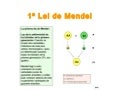 Bio 4º eso tema 3