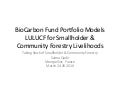 Bio carbon Fund Portfolio Models LULUCF for smallholder and community forestry livelihoods