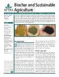 Biochar and Sustainable Agriculture