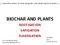 Biochar Conserving Water for Plants