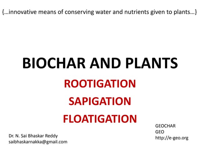 Biochar Conserving Water for Plants