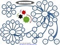 Biocharculture