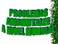 Perdida de la biodiversidad
