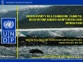 Biodiversity in a changing climate: Ecosystem based adaptation and mitigation (UNDP presentation)