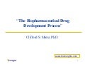 Drug Development Process