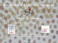 Bioethanol from microalgae