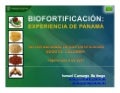 Biofortificación: Experiencia de Panamá