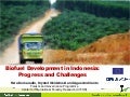 Biofuel development in Indonesia: progress and challenges